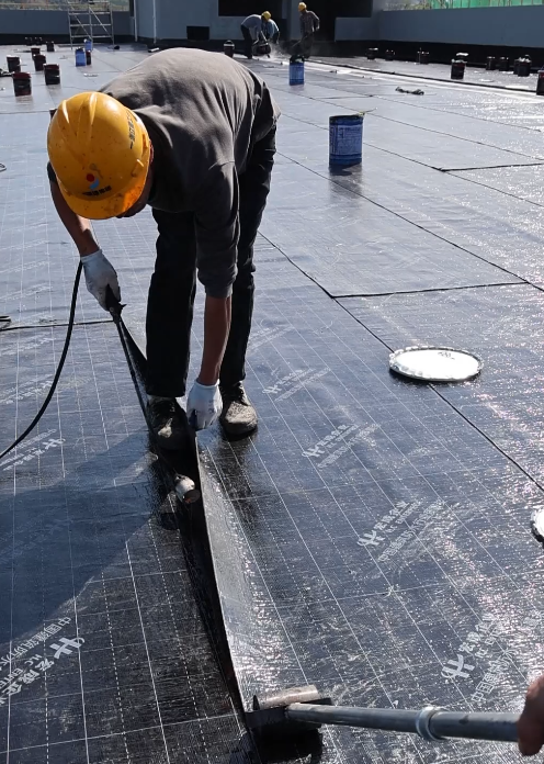 1753678801461124.png image.png