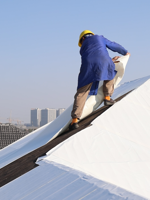 1756018339953041.png image.png